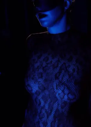 кошка - Фото 1