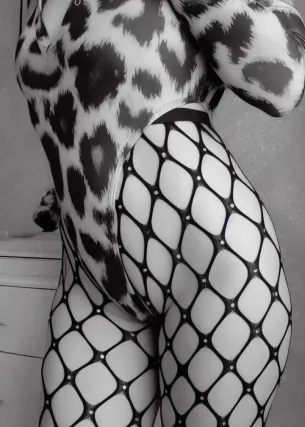 кошка - Фото 2