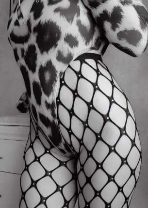 кошка - Фото 1