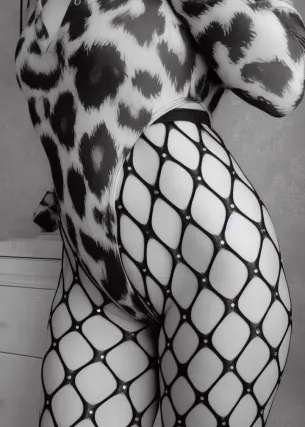 кошка - Фото 1